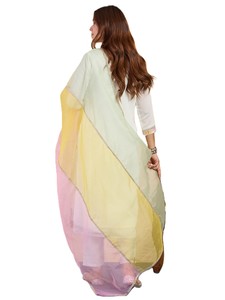 Ensemble Salwar Kameez en Mélange de Soie pour Femmes avec Broderie, Manches Trois Quarts, Longueur Entière, Vêtement Casual, Style Printemps-Été - Product Image 4