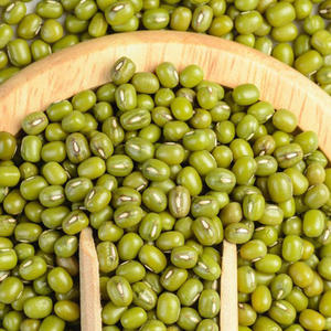 Frijoles Mung Verdes Secos de Alta Calidad, Venta al Por Mayor a Granel - Product Image 3