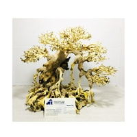 Hot Deal Accessoires de décoration d'aquarium naturel Bonsai Driftwood du Vietnam pour les grossistes