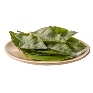 Feuilles de corossol vietnamien séchées au soleil de qualité supérieure, pur bio et aromatique, soigneusement sélectionnées pour une exportation saine - Product Image 4