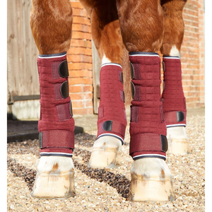 Botas de Transporte para Caballos de Diseño Premium de Alta Calidad 2026 con Neopreno y Envolturas Refrigerantes - Product Image 4