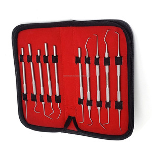 Juego Profesional de Instrumentos Dentales de Acero Inoxidable de 10 Piezas, Kit de Higiene Bucal, Instrumentos Dentales, CE ISO, Proveedor Mayorista OEM - Product Image 4