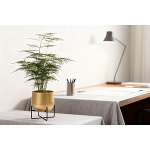 Maceta de Metal Dorado con Soporte Negro, Moderna y Decorativa para Interiores, para Plantas de Hiedra, Sala de Estar, Balcón, Oficina y Ambientes de Lujo - Product Image 4