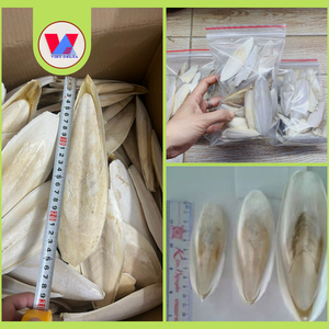 Disponible: Polvo de Hueso de Sepia Ecológico, Hueso de Sepia Seco para Exportación Tradicional al por Mayor - Product Image 2