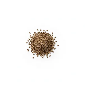 Aceite Esencial de Semilla de Diente de Horno, Extracto Botánico Puro, Botella de Aluminio para Aromaterapia y Masajes - Product Image 2