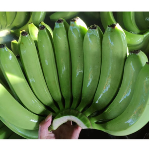 Banana CAVENDISH al por Mayor, Fruta Fresca, Banana Congelada - Product Image 1