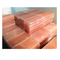 Briques de sel rose de l'Himalaya 8x4x2 imperméables faites à la main pour salles de thérapie au sel et centres de bien-être Prix usine