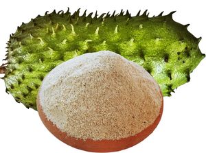 HEALTHY INGREDIENT GRAVIOLA SOURSOP POWDER - NUTRITIONAL FRUIT POWDER FOR FOOD INDUSTRY - Product Image 4