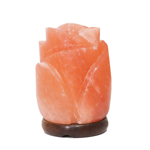 Lámpara de Sal Rosa en Forma de Flor, Lámpara de Cristal de Sal Hecha a Mano de Lujo, Fabricante Mayorista, Muestra Rápida y MOQ Bajo - Product Image 1