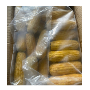 Épis de maïs surgelés en vrac pour cuisines commerciales et transformation alimentaire - Product Image 6