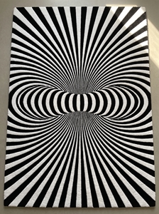 3D Vortex Illusion Area <b>Rug</b> <b>Black</b> White Hand Tufted Abstract Carpet Modern Floor Mat for Home Hallway Entry - Product Image 6