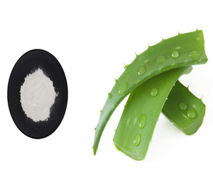 Polvo de hoja de Aloe Vera de primera calidad, polvo de Gwar Patha, extracto de hierba cruda de la planta de Aloe Vera en polvo - Product Image 4