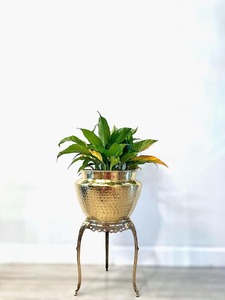 Macetas de Jardín Altas de Hierro Modernas al por Mayor, Macetas Decorativas Grandes con Recubrimiento en Polvo, Proveedor de Macetas Ecológicas para Exteriores - Product Image 2