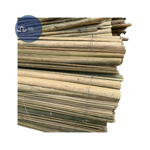 Postes de Bambú Ecológicos de Alta Calidad para Jardín, Soporte para Plantas, Bambú Azul Personalizable - Product Image 1