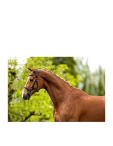 Brida de cuero occidental premium ajustable y duradera para entrenamiento y exhibición de caballos, brida de polo genuina para caballo - Product Image 5