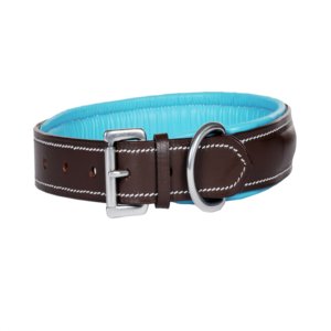 Collier pour chien fantaisie brodé avec rembourrage coloré, en cuir souple et rembourré, réglable, durable et confortable, fournisseur OEM en gros - Product Image 6