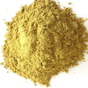 Poudre d'enzyme de bromélaïne 1200 GDU, enzyme de digestion protéinique à haute activité, enzyme protéolytique d'origine végétale - Product Image 2