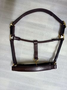 Fronture en cuir de haute qualité pour l'entraînement et l'équitation quotidienne des chevaux, disponible pour la vente en gros - Product Image 6