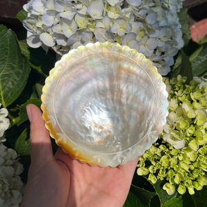 Exquisite Large Scale Shell Art Plate featuring Royal Inspired Gold Plating and Rare Black Gold <b>White</b> MOP Mix - Product Image 6