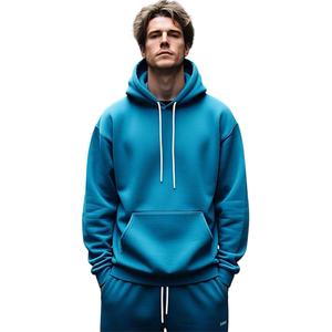 Sweat à capuche personnalisé unisexe poids lourd 500 g/m² éponge française surdimensionné brodé coton mélangé hommes pull pour l'hiver Street Wear - Product Image 1