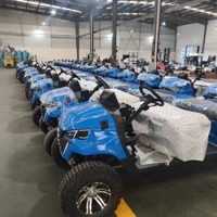 Chariot de Golf Électrique Expédition Gratuite Bon Prix Tout-Terrain Club Car Mini Icône Luxe Batterie Lithium 48V 72V 4 Places Buggy de Plage