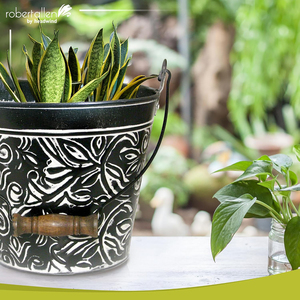 Collection Vintage : Jardinière Florale Charbonnée avec Poignées, Petits Seaux Galvanisés et Pots à Fleurs Métalliques, Jardinières Décoratives en Seau - Product Image 3