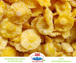 Rodajas de mango de secado suave naturalmente dulces de Vietnam, ideales para picar y regalar, envasadas frescas para exportar a todo el mundo - Product Image 4