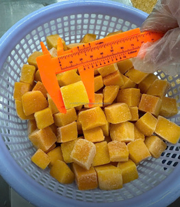 Mango Congelado en Cubos/Cortado en Dados/En Rodajas/Entero/En Mitades, Proceso IQF, Estilo Bloque de Fruta Entera, Origen Vietnam, Fruta Congelada - Product Image 3