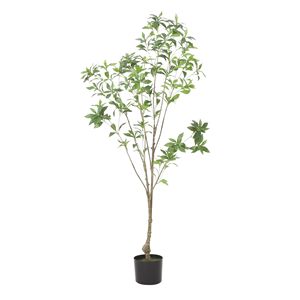 59.1 Inch Pieris Artificial <b>Tree</b> Durable and Versatile Indoor/<b>Outdoor</b> Decorative Element - Product Image 2