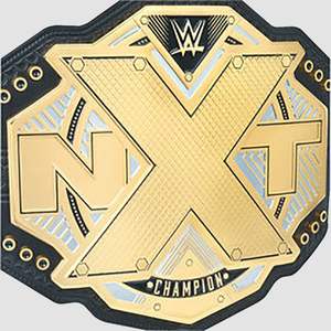Réplica del Cinturón de Campeonato NXT, Placas de Metal de Latón - Product Image 3