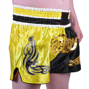 Shorts de kick-boxing de style nouveau, fabriqués en polyester, shorts de kick-boxing grande taille. - Product Image 4