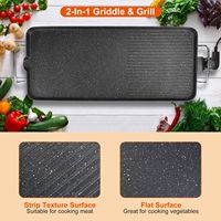 Plancha Eléctrica Antiadherente de 1500W, Tamaño L, Modelo D0100HA5VNY, para Interiores/Exteriores, Campamentos, Picnics, Barbacoa