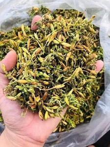 Premium <b>Dried</b> Papaya Flowers - Natural, Organic & Bulk Supply // Evan - Product Image 4