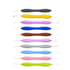 Top vente 10 pièces pour LM Arte Set Instruments de remplissage composites dentaires manuels avec support en silicone et de stérilisation en acier inoxydable - Product Image 1