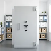 Coffre-fort professionnel pour documents et biens CX-482