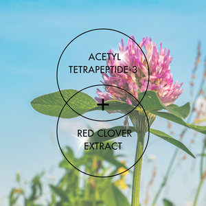 Innovation produit Sérum anti-chute de cheveux Scalp Balance Repousse des cheveux 50ml Ingrédients naturels Peptides organiques de Thaïlande - Product Image 4