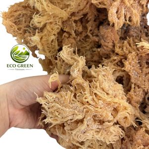 Algas Marinas Secas al Sol Naturales para la Extracción de Carragenano, Eucheuma Cottonii Seca Orgánica para Uso Alimentario y Cosmético - Product Image 4