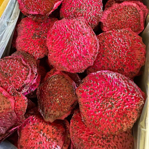 Frutas del Dragón Secas Suaves al por Mayor de Vietnam, Fruta del Dragón Roja y Pitaya Secas Suaves |   Color Vibrante |   Venta al por Mayor - Product Image 3