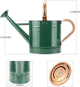 Arrosoir en métal au design tendance et élégant avec finition rustique pour l'arrangement décoratif de plantes d'intérieur - Product Image 6