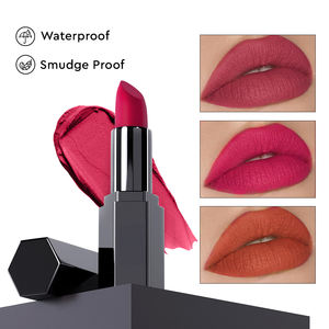 Lápiz Labial Mate Personalizable de 3.5g, Fabricante de Marcas de Belleza de Marca Privada - Product Image 1