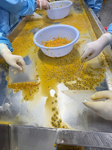 Pulpe de fruit de la passion IQF en vrac |   Sans pépins ou avec pépins |   Produit naturel aigre-doux pour la transformation de jus - Product Image 6