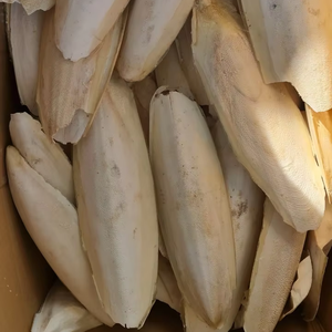 Hueso de Sepia Seco Orgánico, Mineral Natural para Aves - Product Image 1