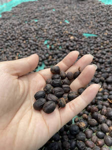 Vietnamese Fine Robusta Green <b>Coffee</b> <b>Beans</b> Specialty Anaerobic Natural Process 100% <b>Coffee</b> <b>Beans</b> 40kg Bag - Product Image 3
