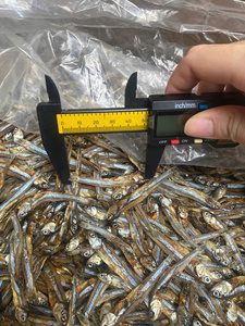 Anchois séchés du Vietnam, entiers, naturels, qualité AA 99 Gold Data, faible teneur en sel, pour base de soupe, ingrédients de cuisine, marchés de gros - Product Image 4