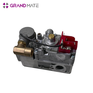 Válvula de Gas Natural de Presión Media para Fundición - Product Image 4