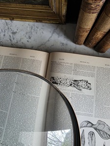 Loupe à manche en corne de buffle, écologique, fabriquée à la main, pour une lecture de précision et un style vintage classique, de haute qualité - Product Image 1