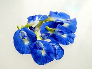 Standard Bulk Dried Butterfly Pea Flowers Natural Blue Petals Herbal <b>Slimming</b> <b>Tea</b> Beverage Processing Wholesale Vietnam Supply - Product Image 3