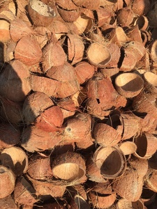 Sản Phẩm Thân Thiện Với Môi Trường Để Bán (Than Vỏ Dừa) - Product Image 5