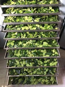 Hojas de Limón Secas de Alta Calidad – 100% Naturales y Sin Aditivos // Mr.Tom - Product Image 3