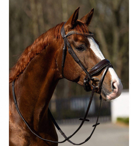 Fancy Crystal Browband English Leather Bridle with Patent Noseband Adjustable High Quality Comfortable for Horse Riding - Product Image 6